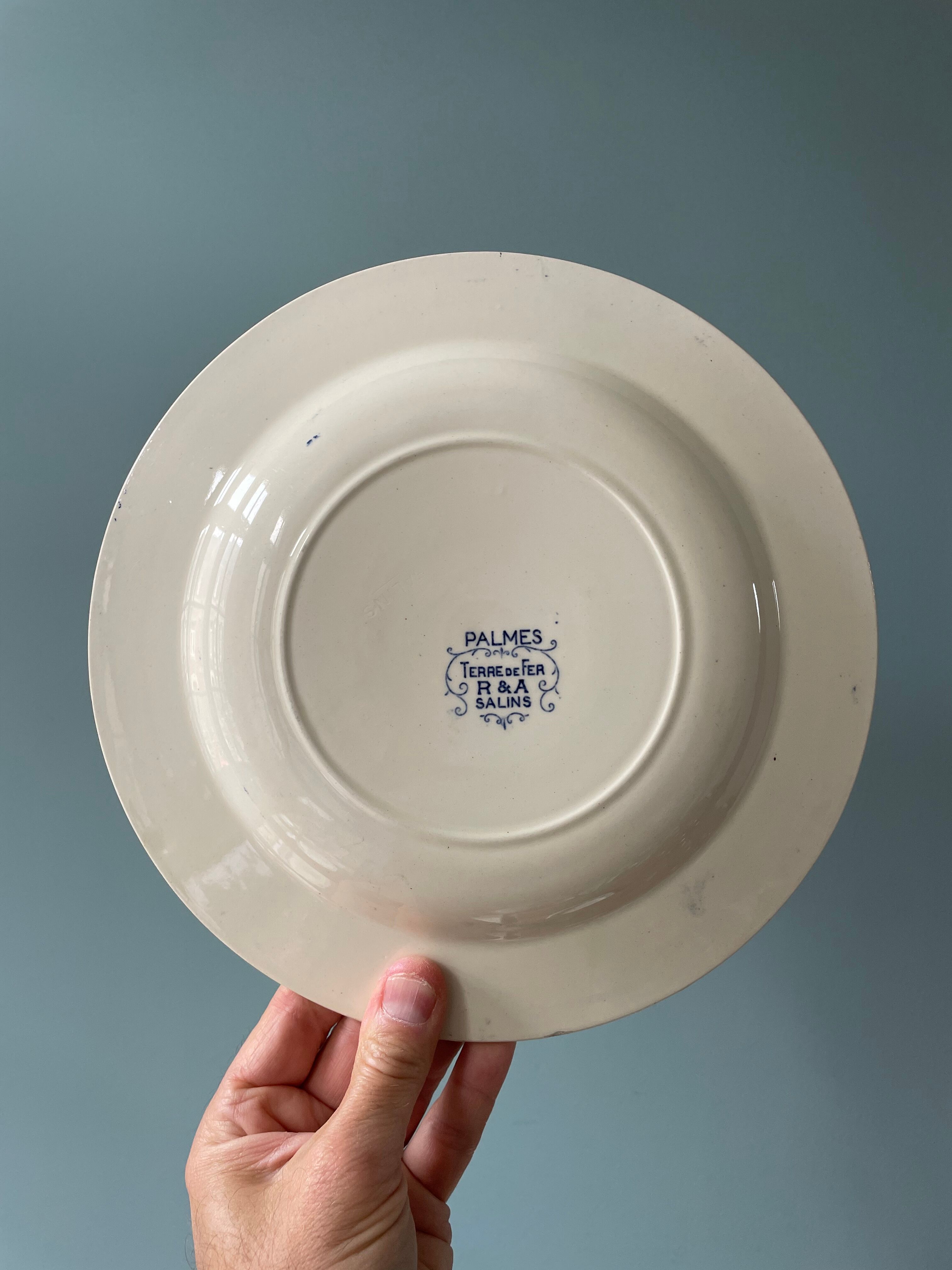 Set of 5 hollow plates Terre de Fer R&A Salins, model Palmes