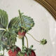 Framed botanical print of Fragaria Grandiflora