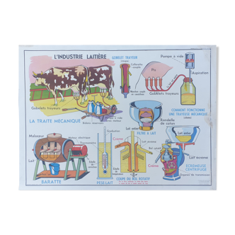 School poster the dairy industry / the pigsty