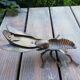 Brass fly ashtray