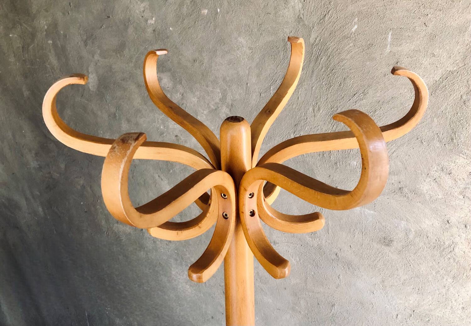 Baumann "Parrot" beech coat rack