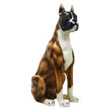 Life-size boxer dog statue in majolica, glazed ceramic, Italy, 1970s.