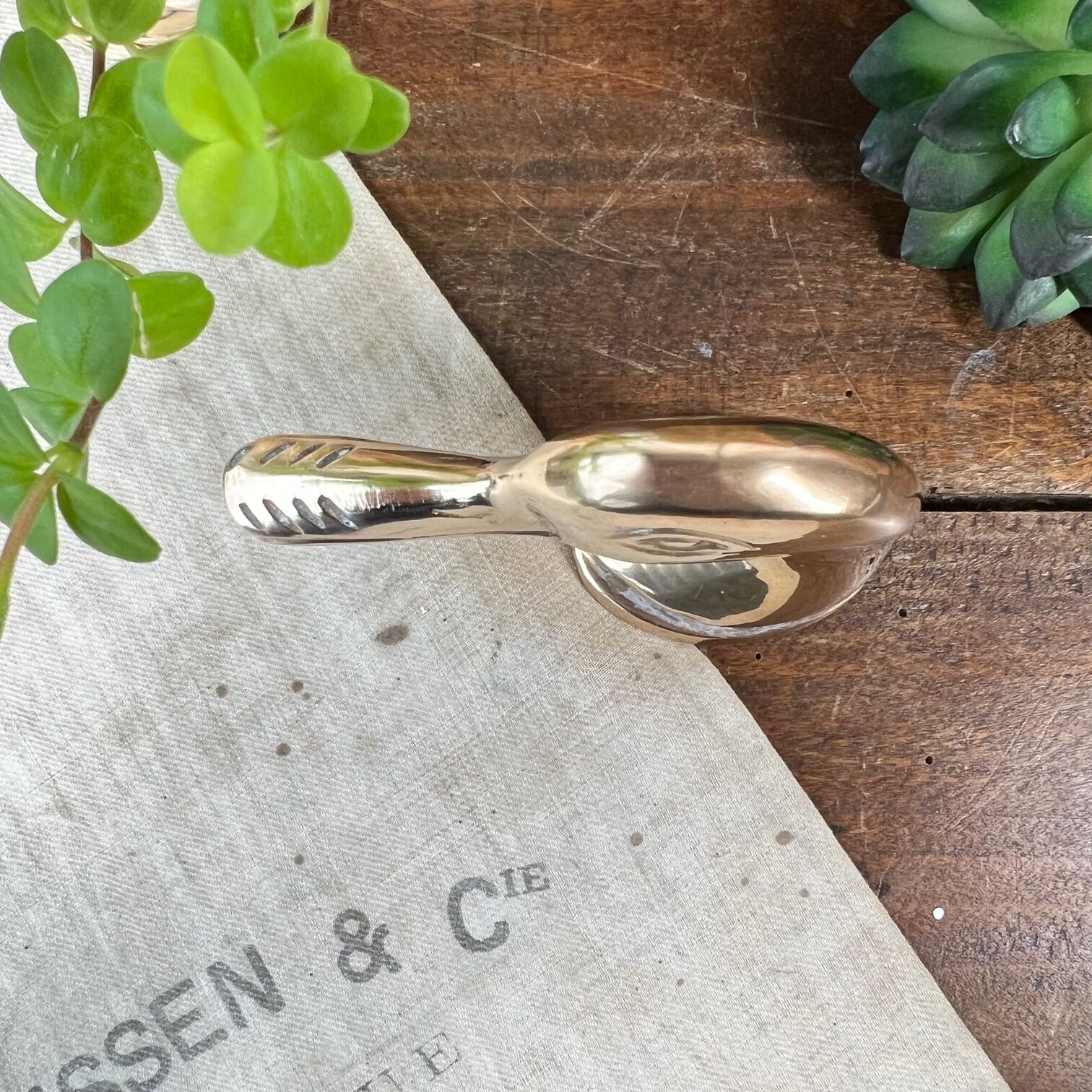 Brass bottle opener duck head