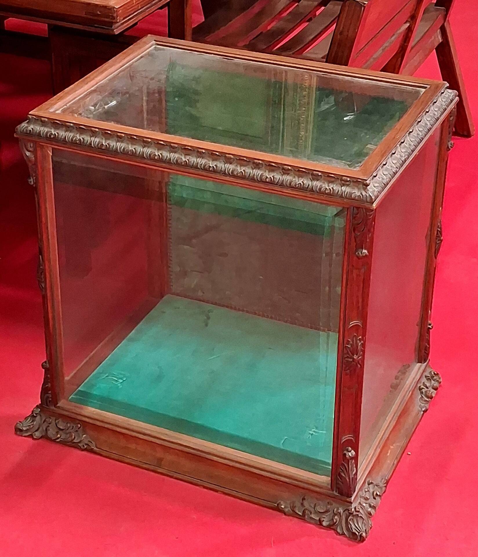 Rare counter display case / exhibition case in walnut display case.