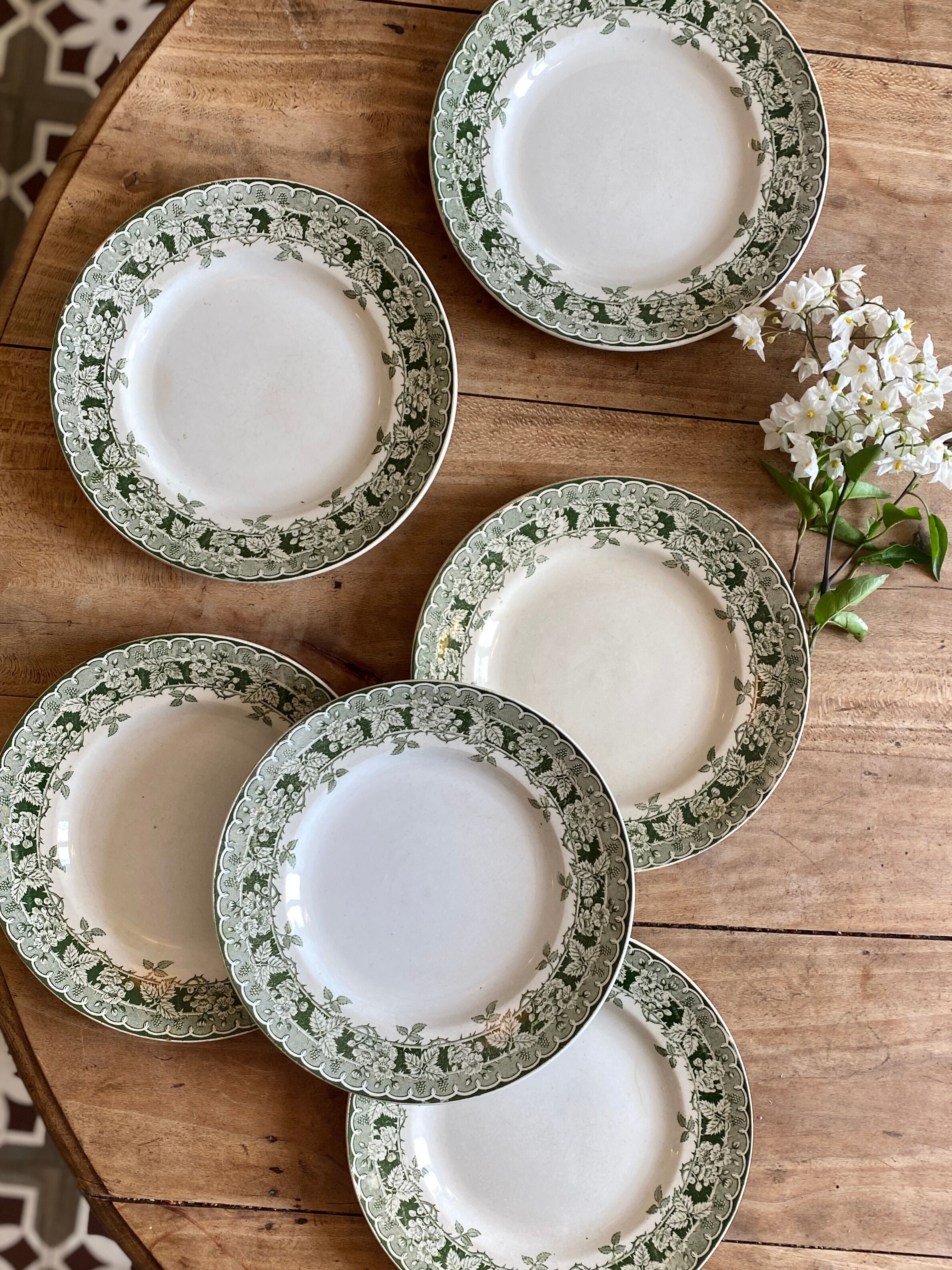 Set of 6 old plates in iron earth, model Murier de Saint Amand