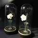 Pair of bridal globes XlXeme Napoleon lll