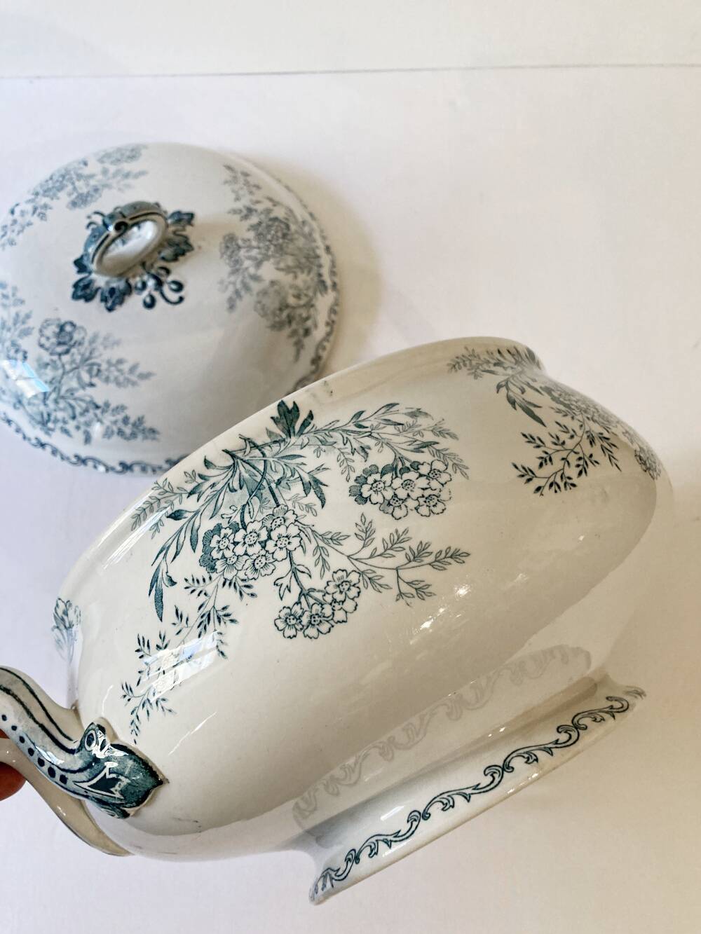 Iron earth soup tureen, Sarreguemines, Eglantine model