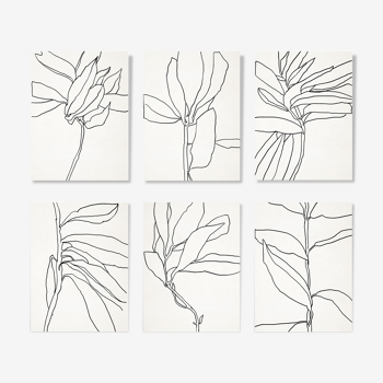 Ensemble de 6 illustrations, série botanique