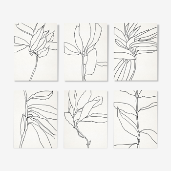 Set of 6 giclee prints. Botanical series