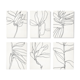Set of 6 giclee prints. Botanical series