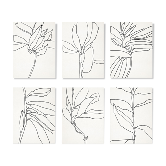 Ensemble de 6 illustrations, série botanique