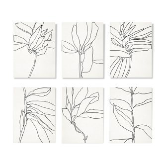 Set of 6 giclee prints. Botanical series