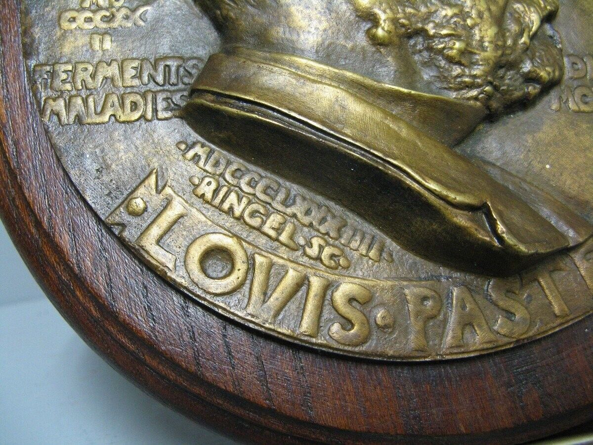 Louis Pasteur bronze medallion by Ringel d'Illzach