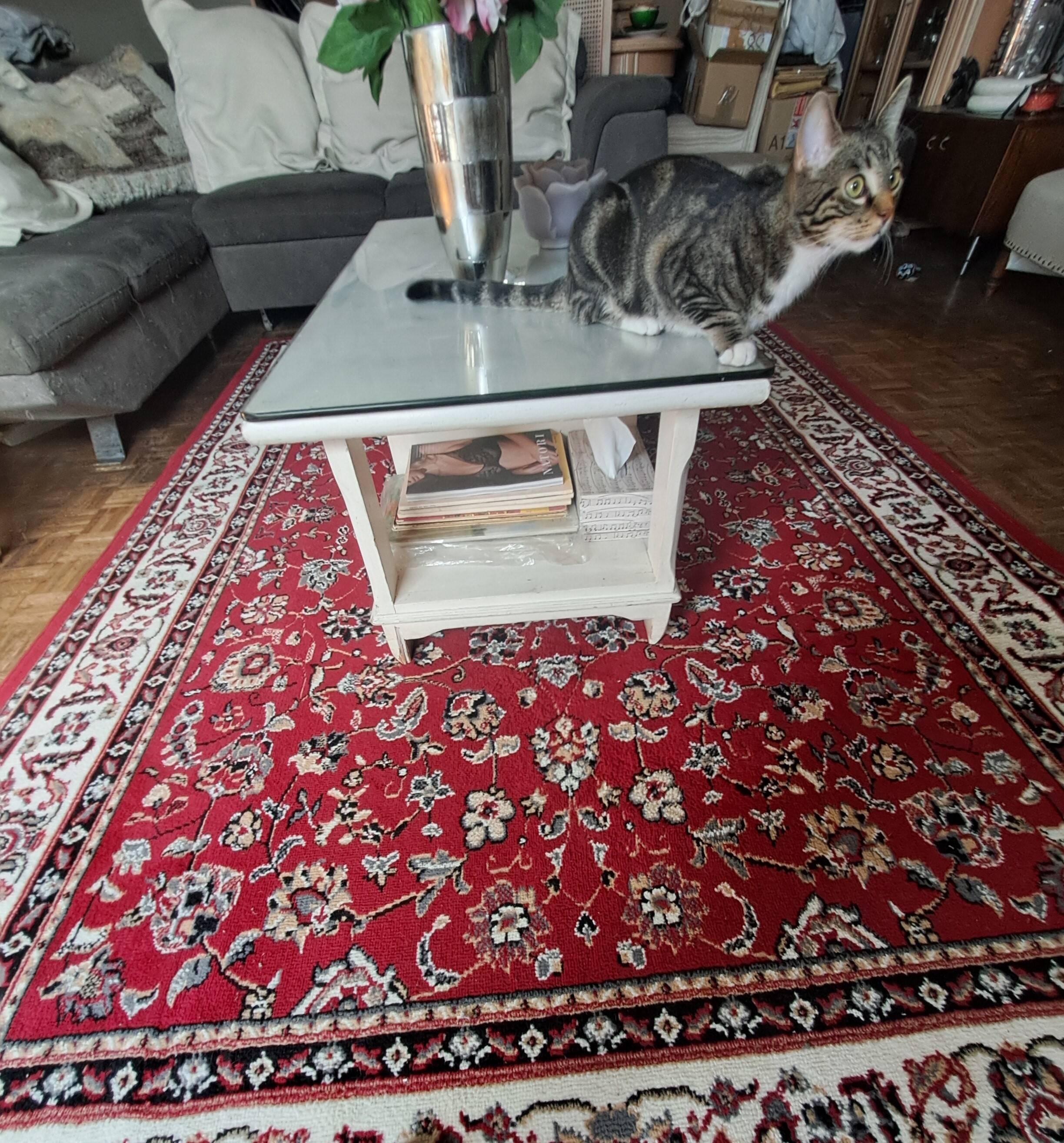 Rug Machine made rectangular Belgium 1990