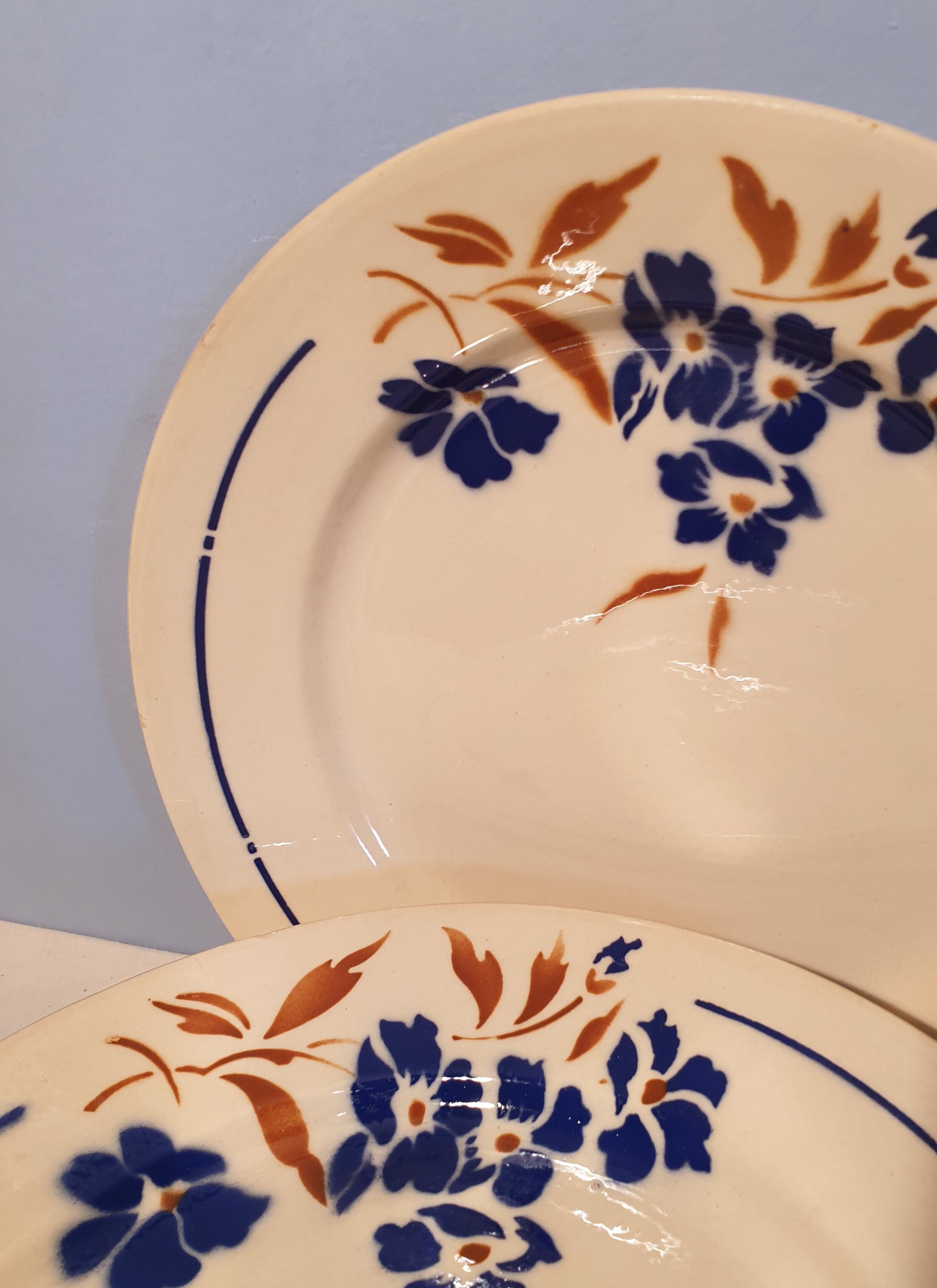 Suite of 10 Flat plates Badonviller