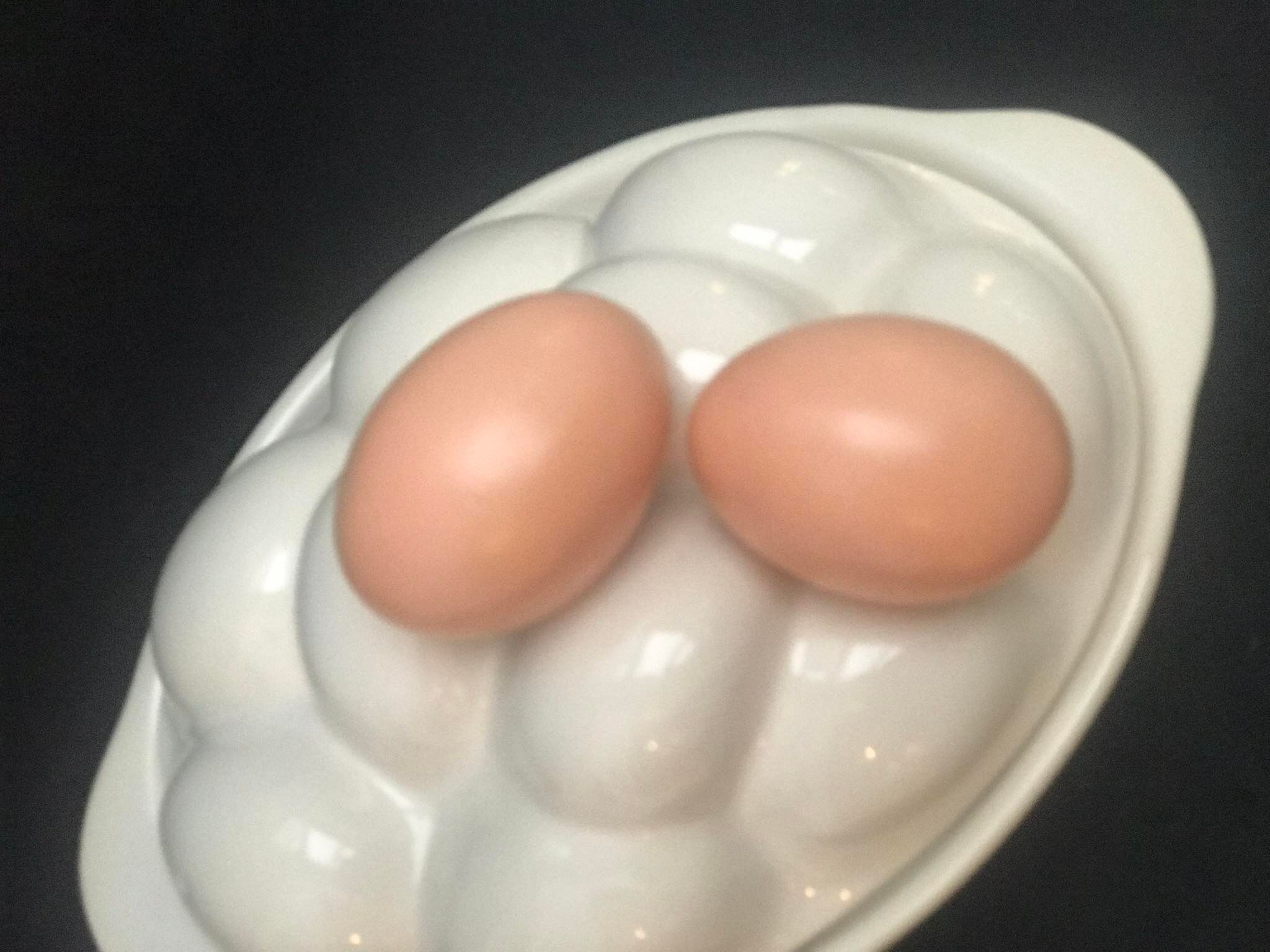 Egg terrine