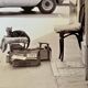 Photo of New York, Cat with rolling eyes in front of a shoe shine, 1960