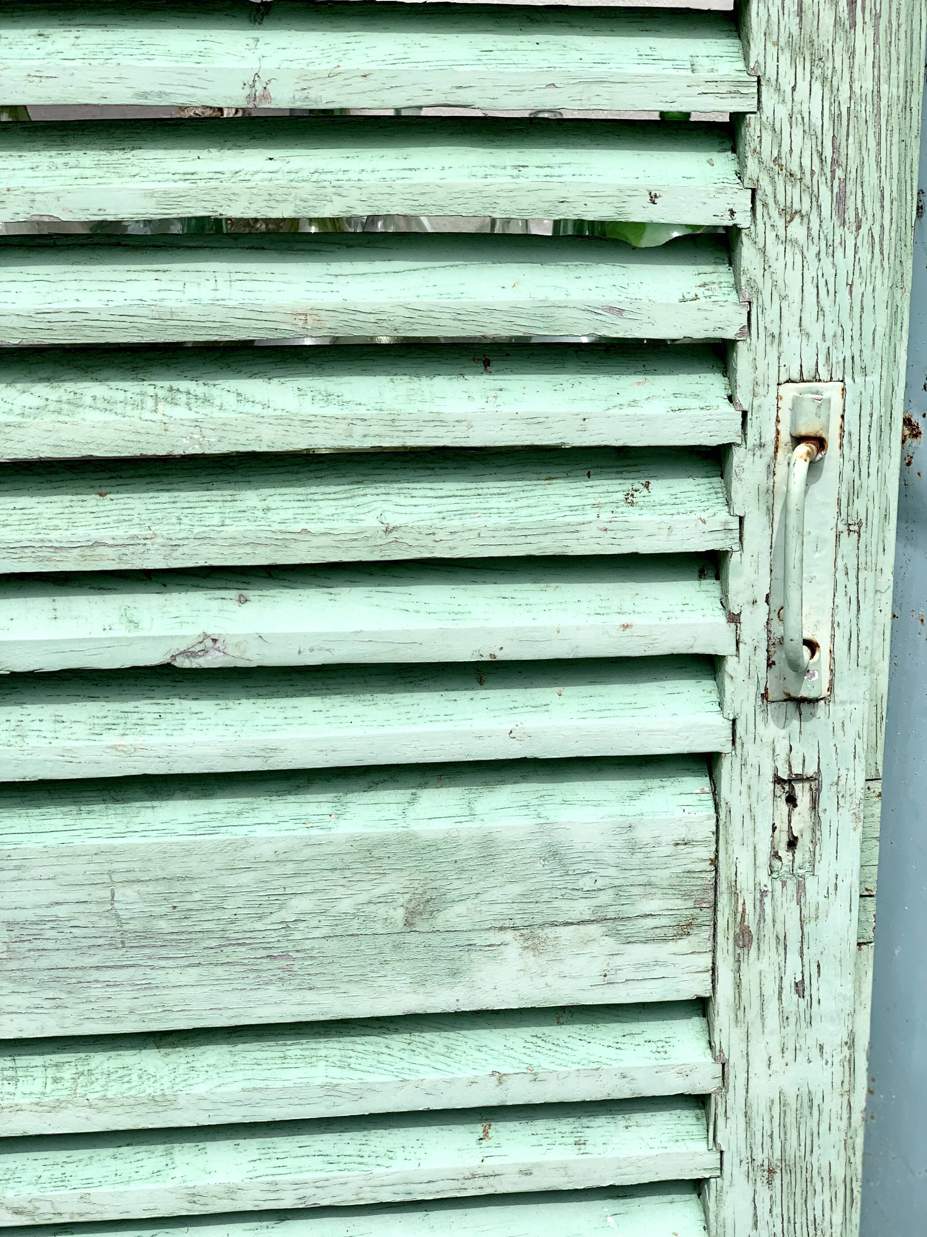 Old wood volet mint color