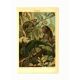 Old engraving from 1904 - Chameleons - chromolithograph zoology plate