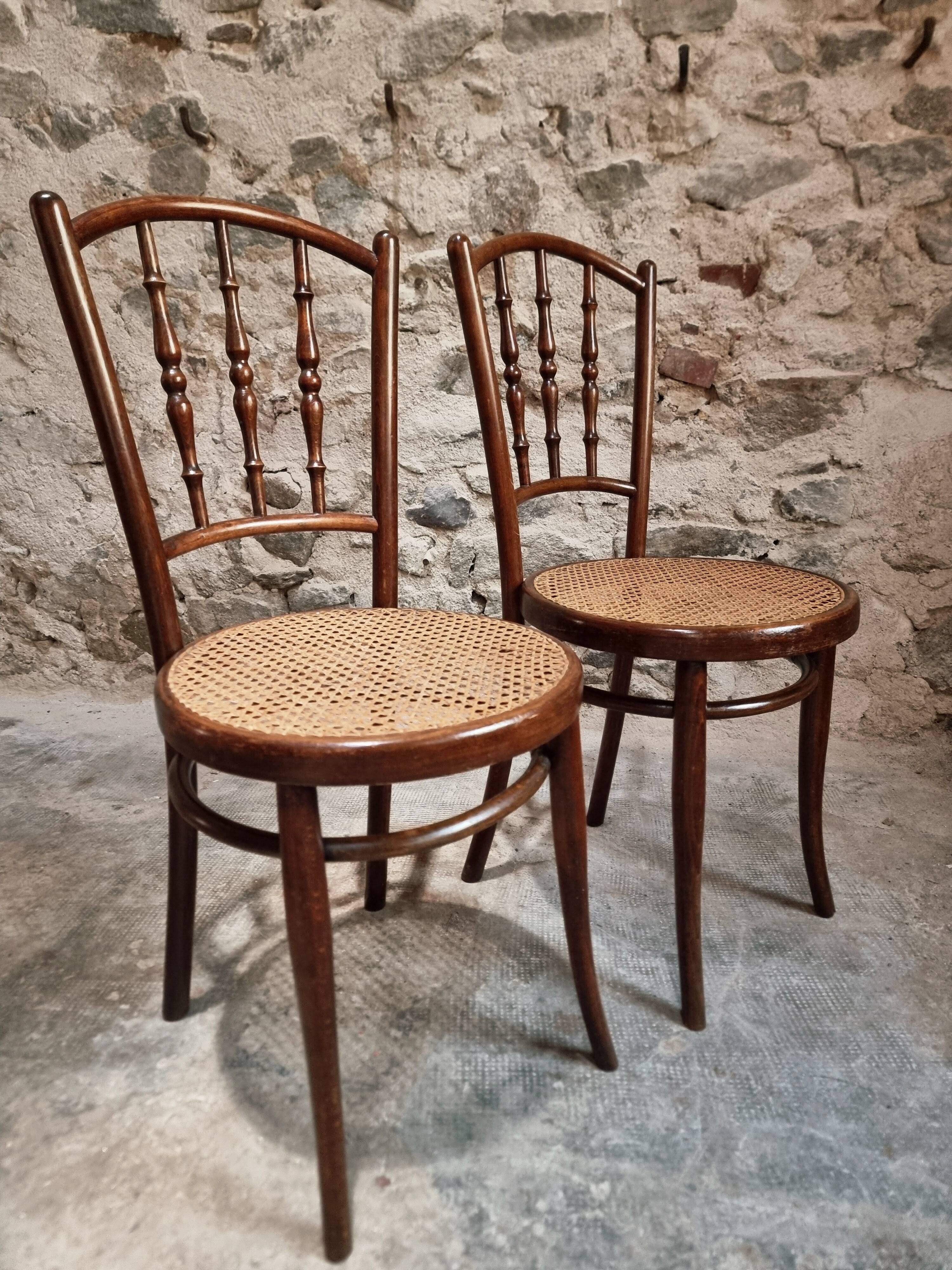 2 chaises bistrot viennoises Kohn antiques en bois courbé et cannage, Autriche vers 1900–1930