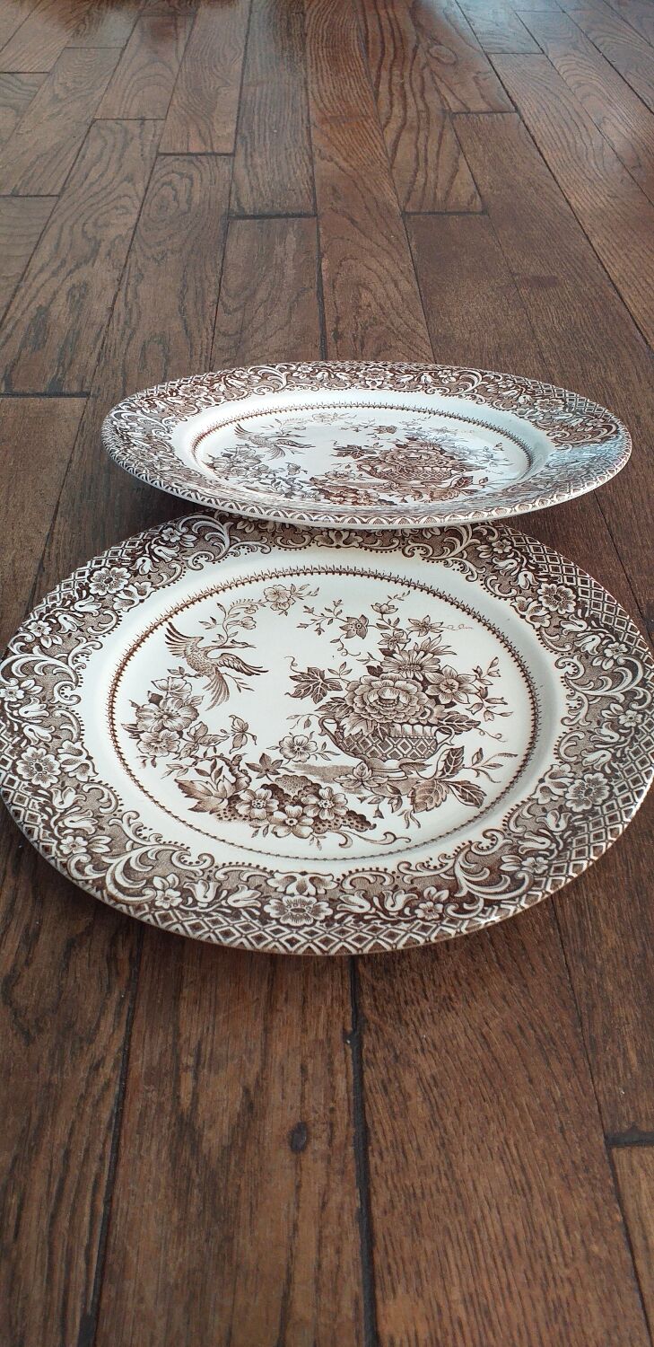 2 plates brown English Ironstone