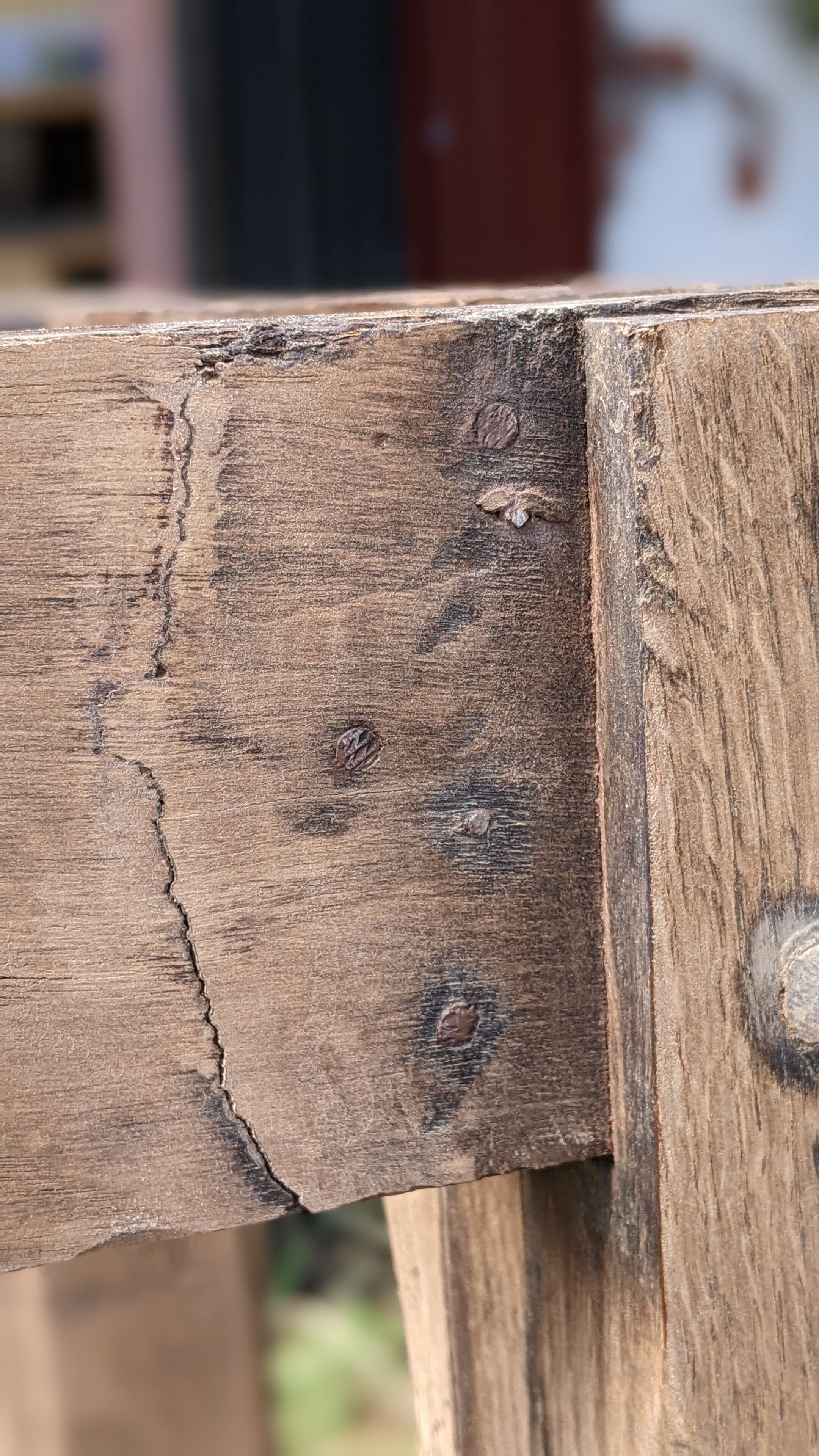 Old table in solid chene