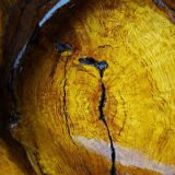 Olive wood catchall Monoxyle brutalist vintage 50s-60s handcrafted