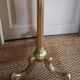 Golden parrot coat rack