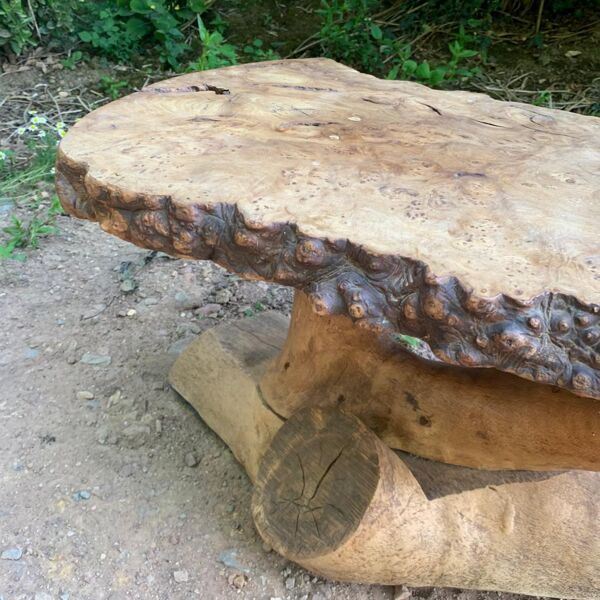 Table basse brutaliste en loupe d’orme