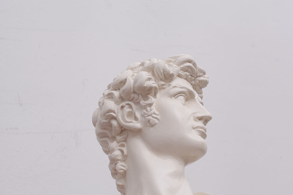 David head in white plaster