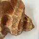 Pair of vintage terracotta shell wall lights