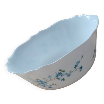 Veronica arcopal forget-me-not salad bowl