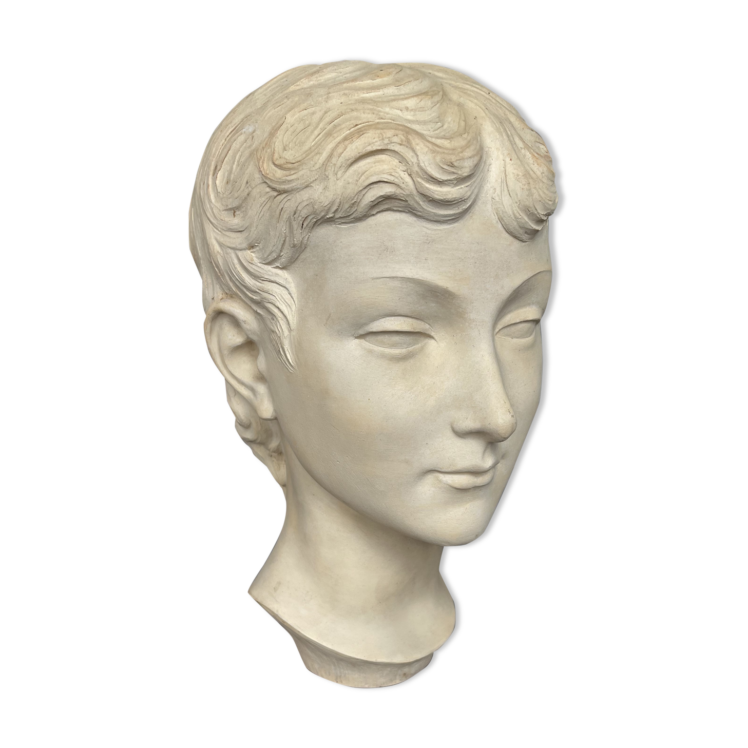 Young woman's head