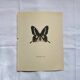 Old Engraving Butterfly Lithograph Naturalist Botanical Plate