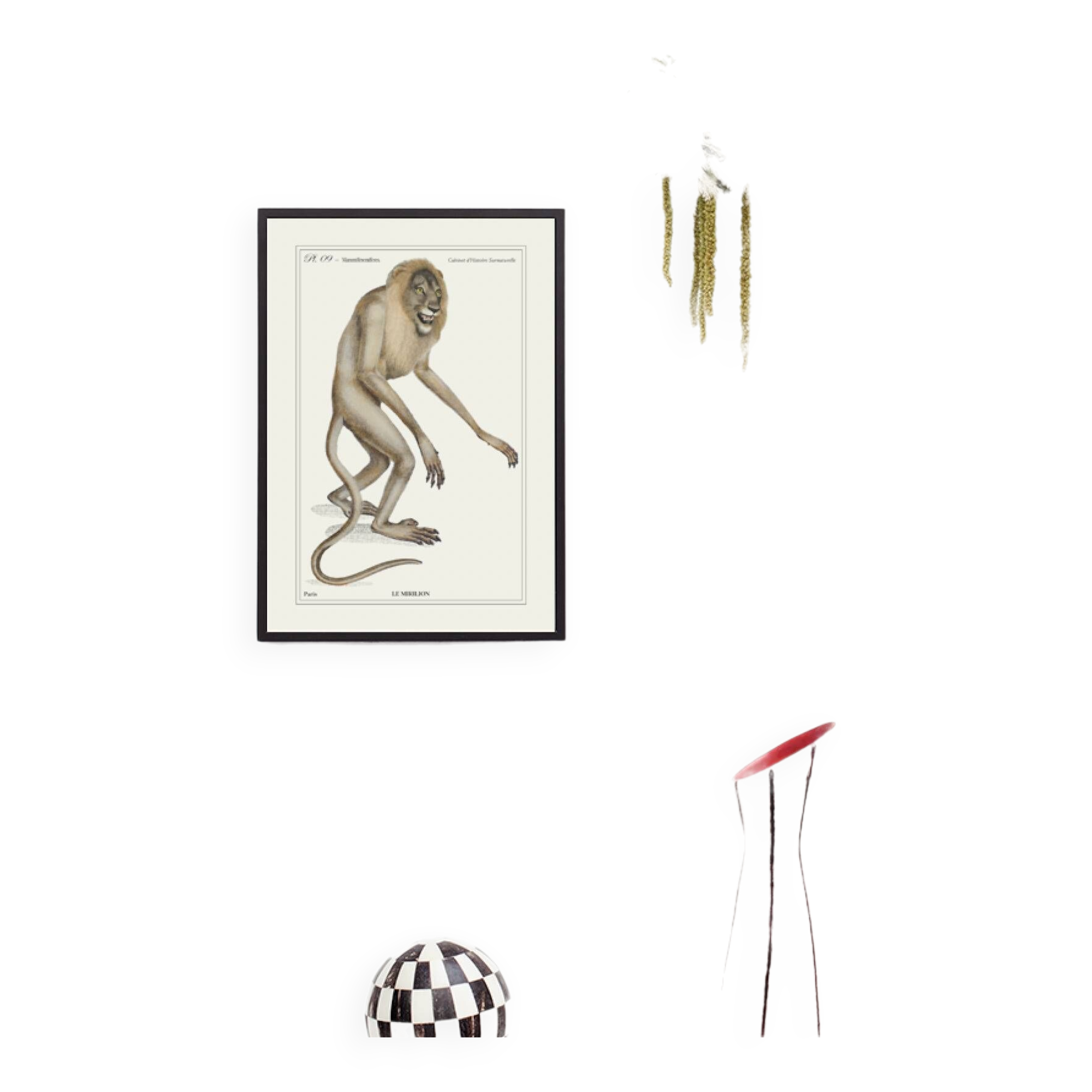 Lithograph engraving chimera animal - the mirilion