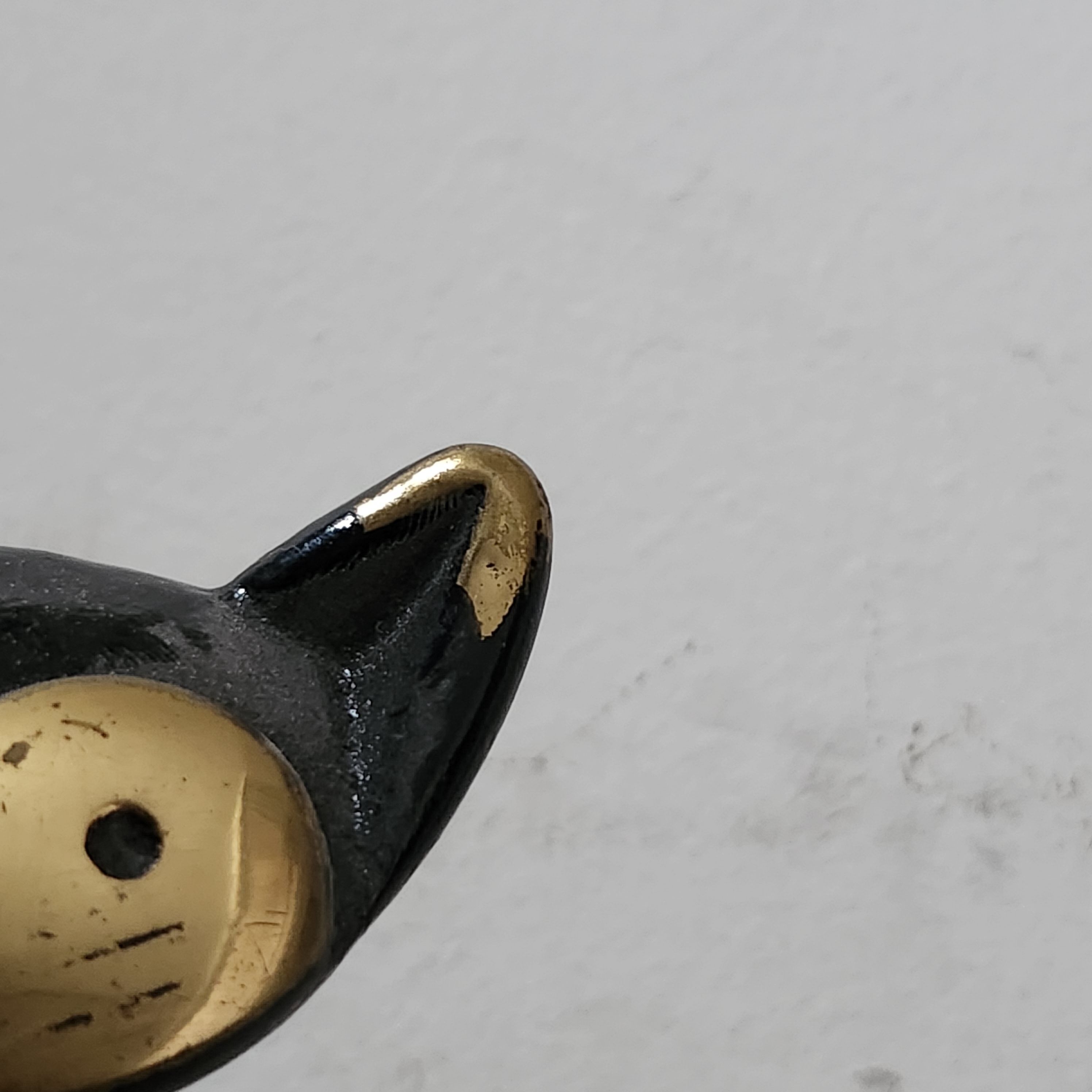 Cat wearing coat by Baller - Austria