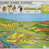 Plastic school poster,  90s