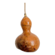 Calabash plant lamp