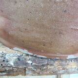 Old sandstone pot