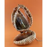 Shell lamp