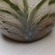 Slip pot cover Saint Amand