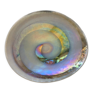 coupe verre murano