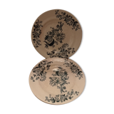 Assiettes terre de fer anciennes