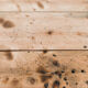 Green wooden workbench – 2 drawers