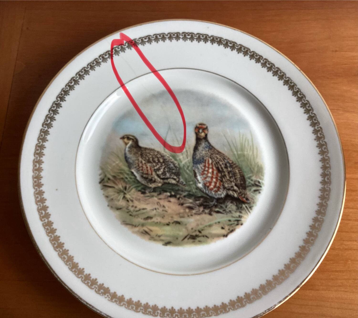 Flat plates PL Emaux Limoges Fafrique Mehun