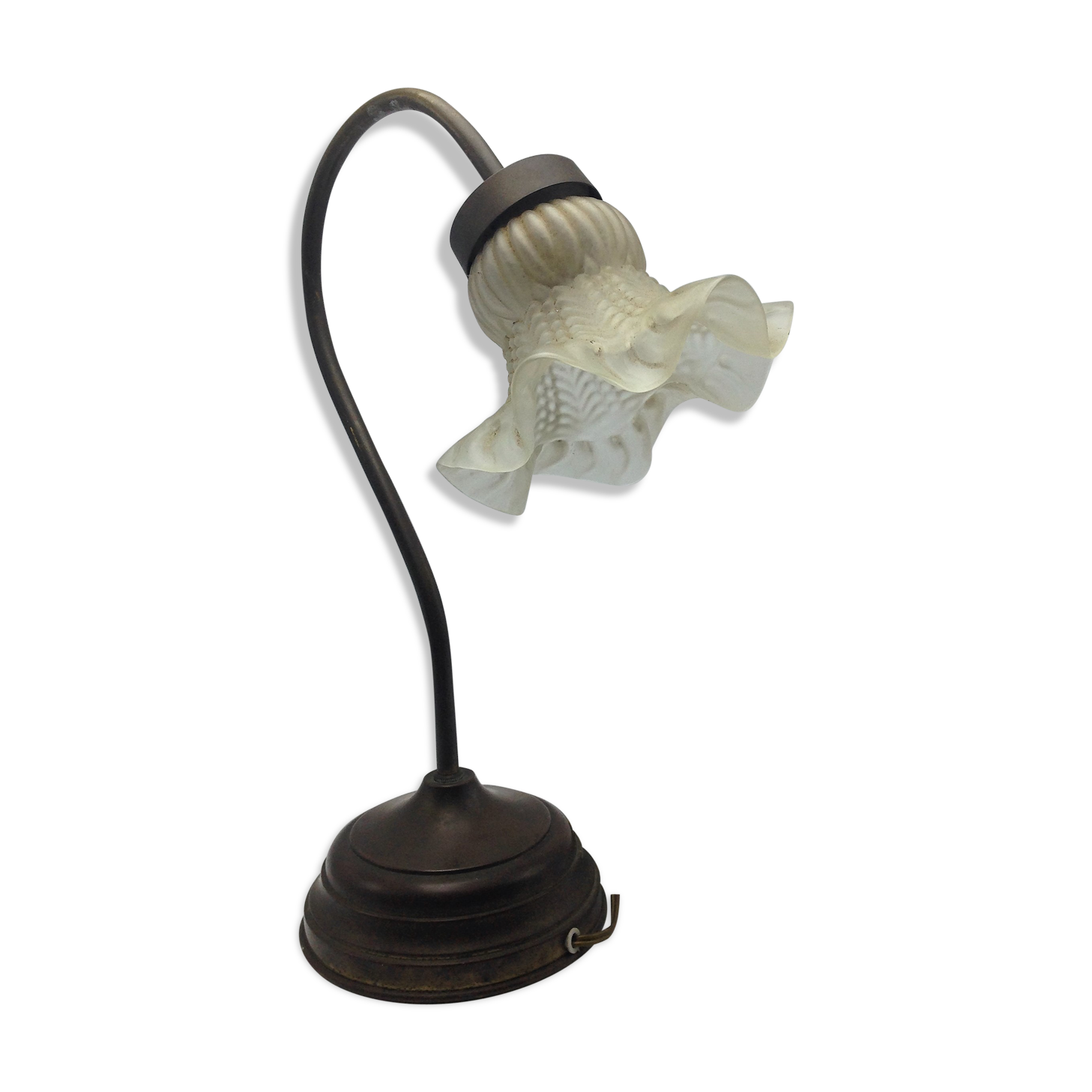 Old brass with tulip gooseneck light