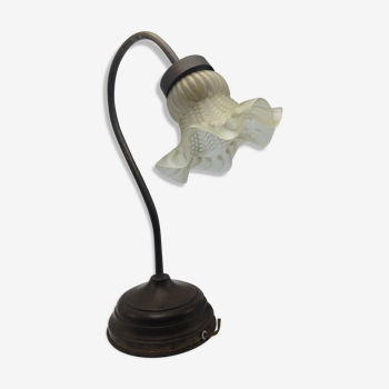 Old brass with tulip gooseneck light