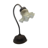 Old brass with tulip gooseneck light