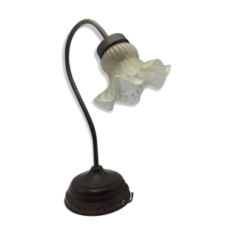 Old brass with tulip gooseneck light