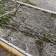 Rattan basket lot